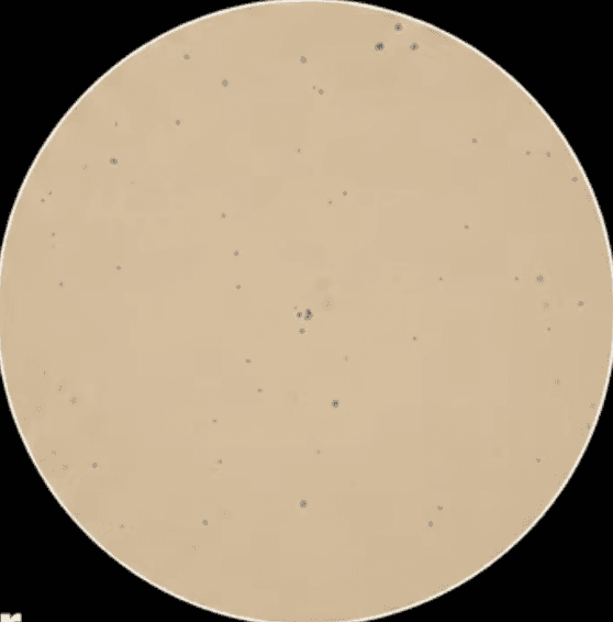 Microscopic oil sample after filtration—dramatically reduced particle count